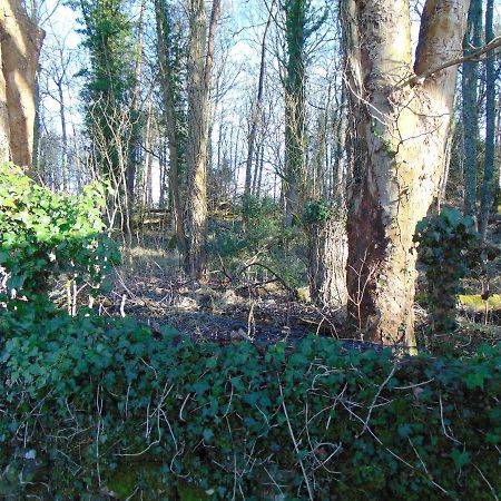Dreamwood Cottage, Loch Lomond, Luxury Apartment. 格拉斯哥 外观 照片