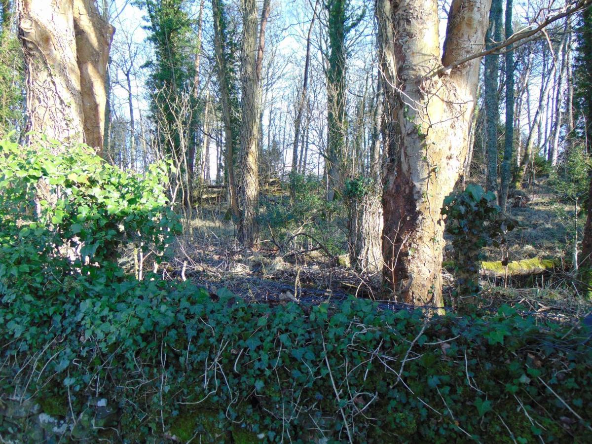 Dreamwood Cottage, Loch Lomond, Luxury Apartment. 格拉斯哥 外观 照片