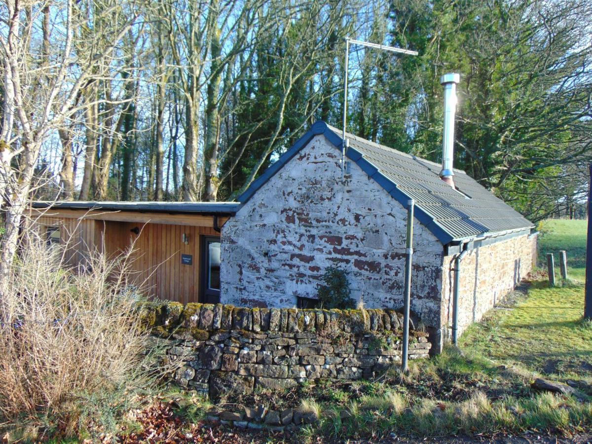 Dreamwood Cottage, Loch Lomond, Luxury Apartment. 格拉斯哥 外观 照片