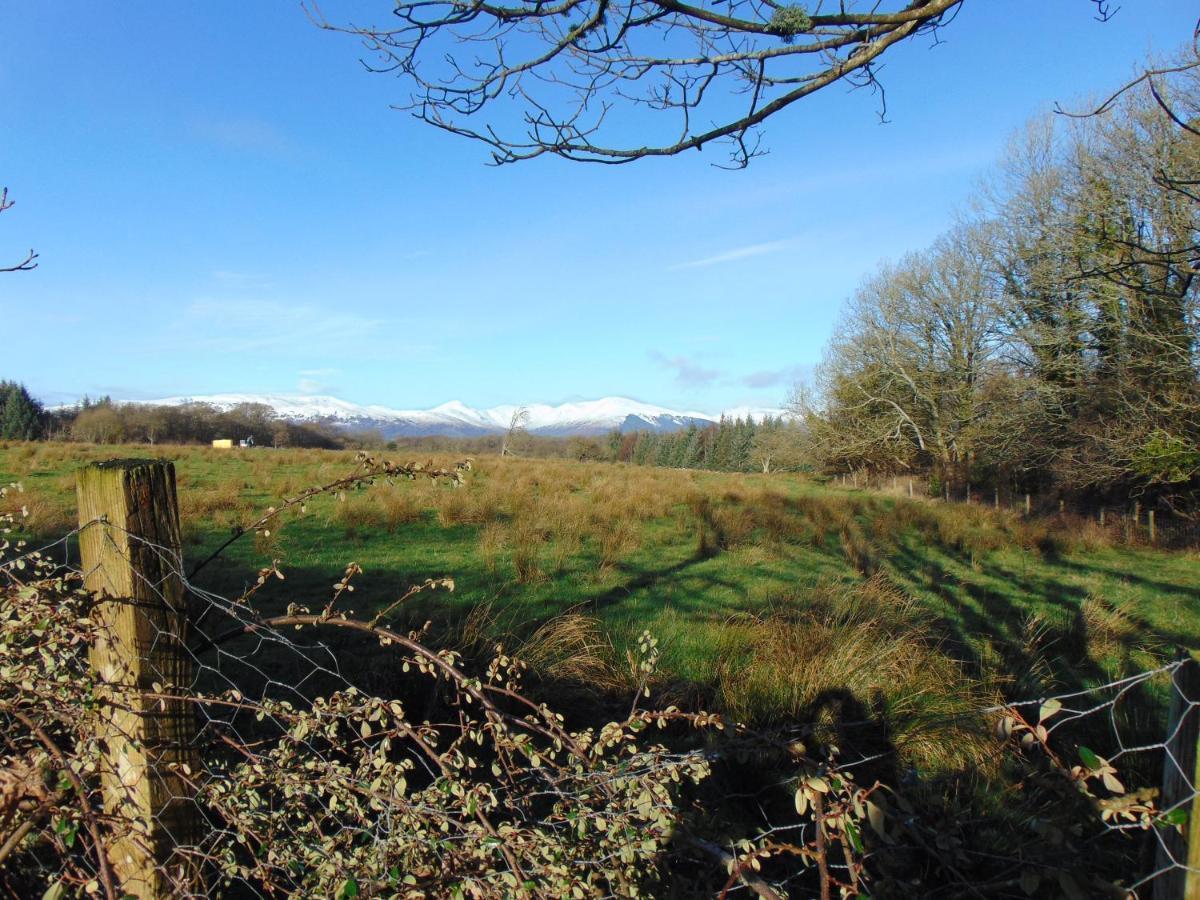 Dreamwood Cottage, Loch Lomond, Luxury Apartment. 格拉斯哥 外观 照片