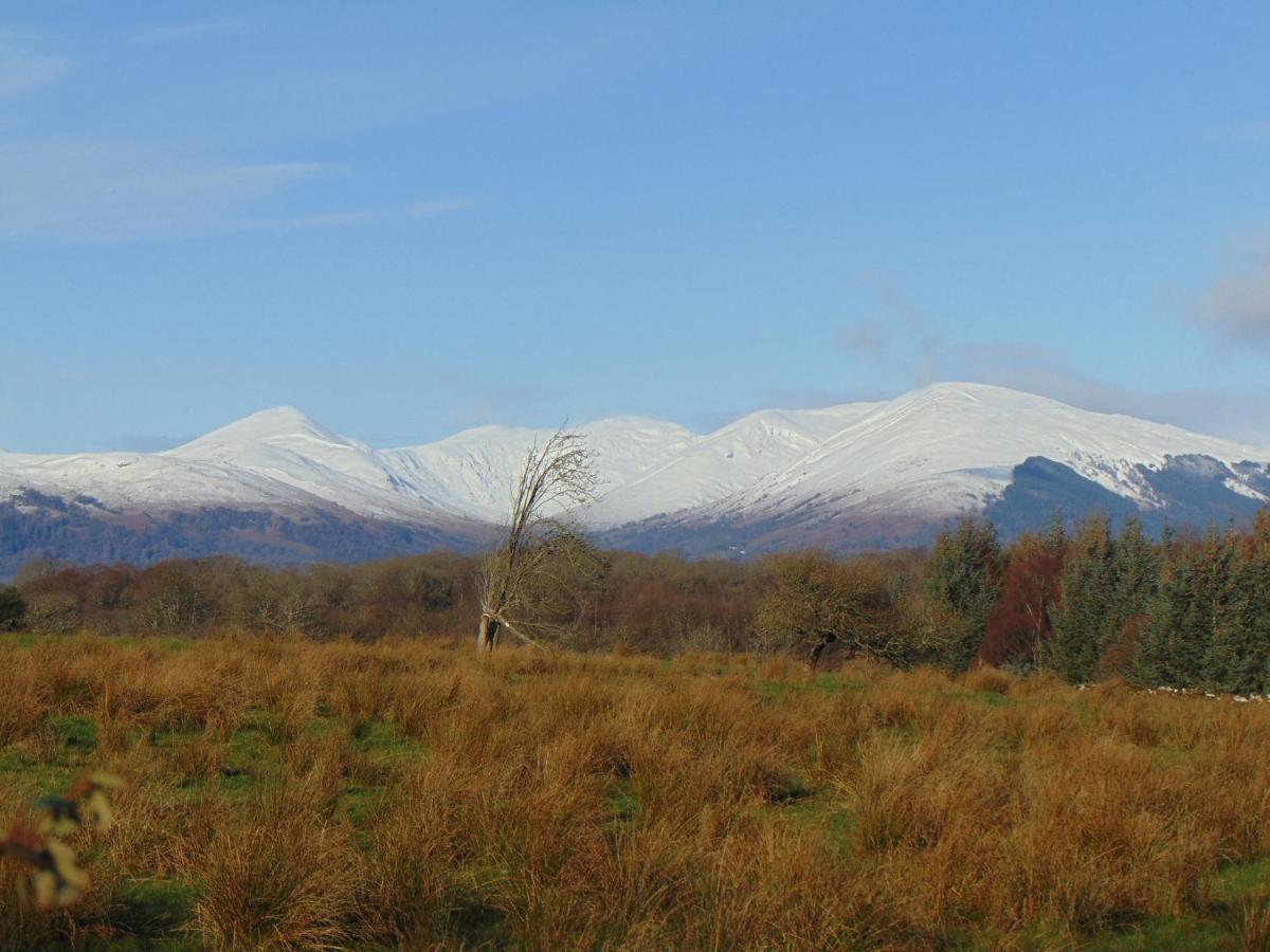 Dreamwood Cottage, Loch Lomond, Luxury Apartment. 格拉斯哥 外观 照片